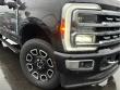 2024 Ford F-350 Platinum 4WD Crew Cab 8 Box 4WD Crew Cab 8 Box