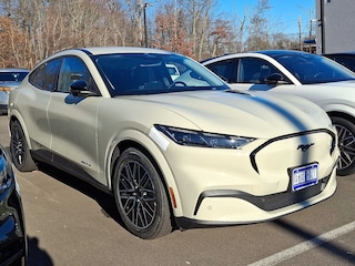 2025 Ford Mustang Mach-E Premium AWD