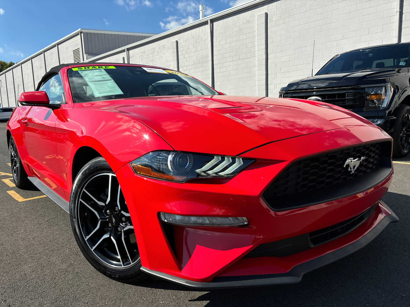 Certified 2023 Ford Mustang EcoBoost Premium with VIN 1FATP8UH8P5111048 for sale in Ocean, NJ