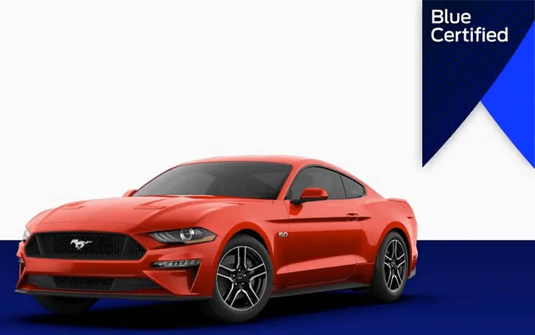 Ford Blue Certified Pre-Owned Vehicle