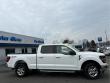 2024 Ford F-150 XLT 4WD Supercrew 6.5 Box 4WD SuperCrew 6.5 Box