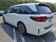 2025 Honda Odyssey EX-L Auto