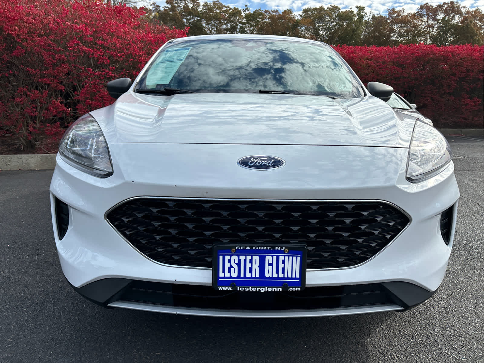 2022 Ford Escape SE photo 4