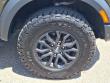 2024 Ford Ranger Raptor 4WD Supercrew 5 Box 4WD SuperCrew 5 Box