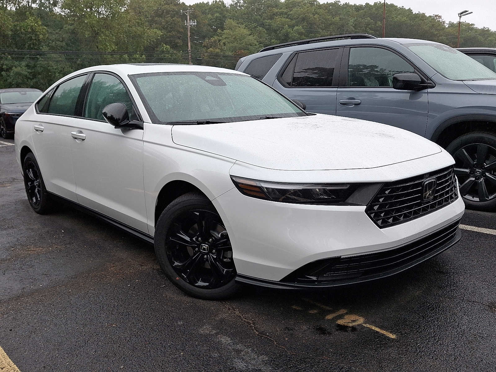 2025 Honda Accord SE's photo