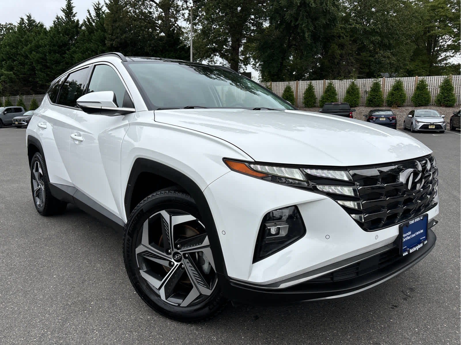 2023 Hyundai Tucson Limited photo 2