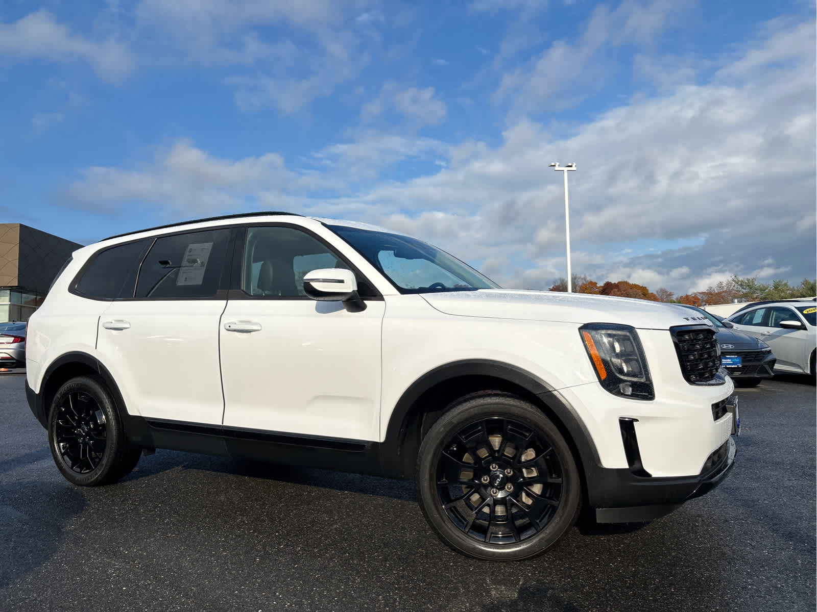 2022 Kia Telluride EX photo 3