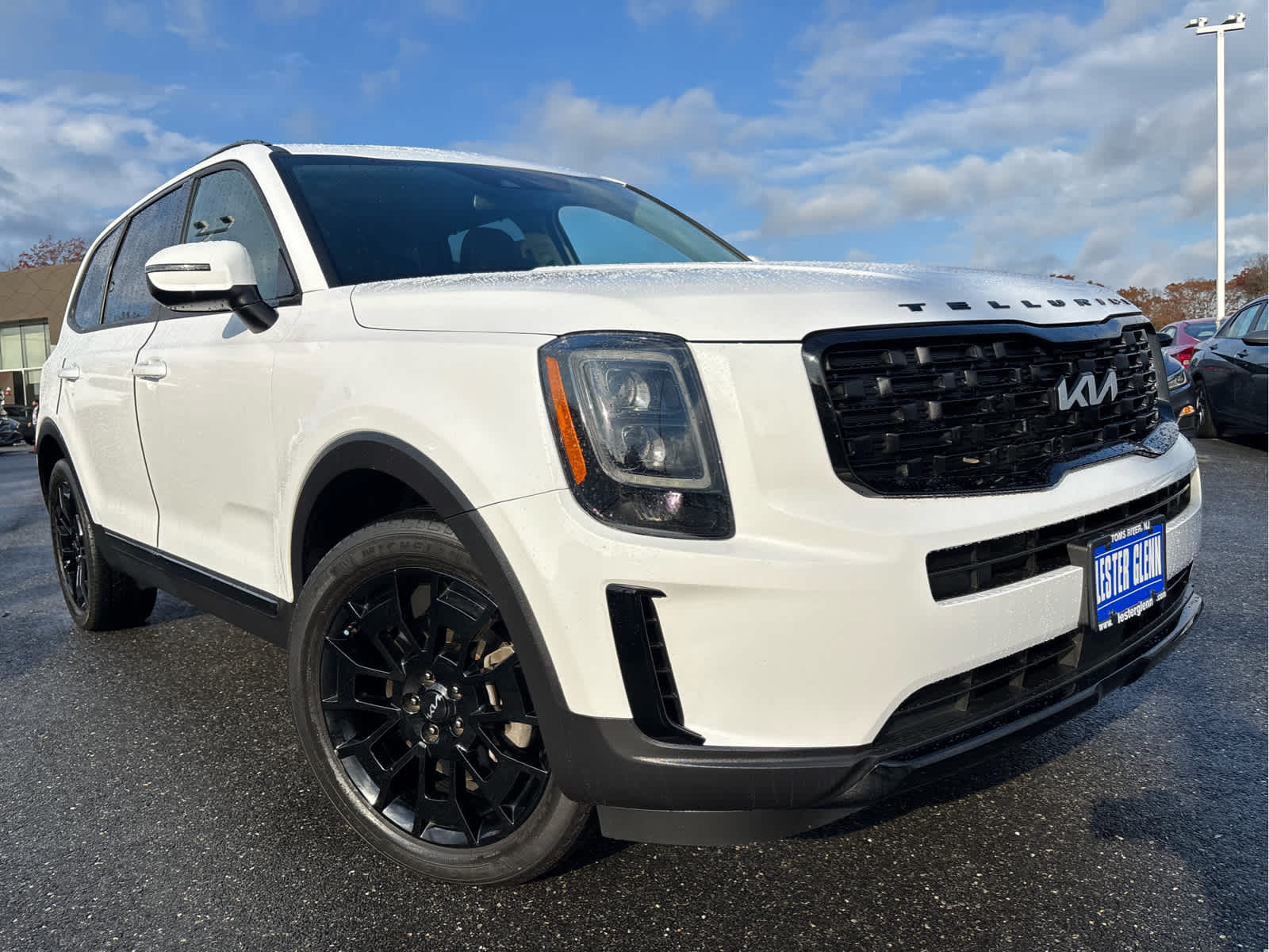 2022 Kia Telluride EX photo 2