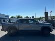 2023 Nissan Frontier PRO-4X Truck Crew Cab
