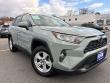 2019 Toyota RAV4 XLE SUV