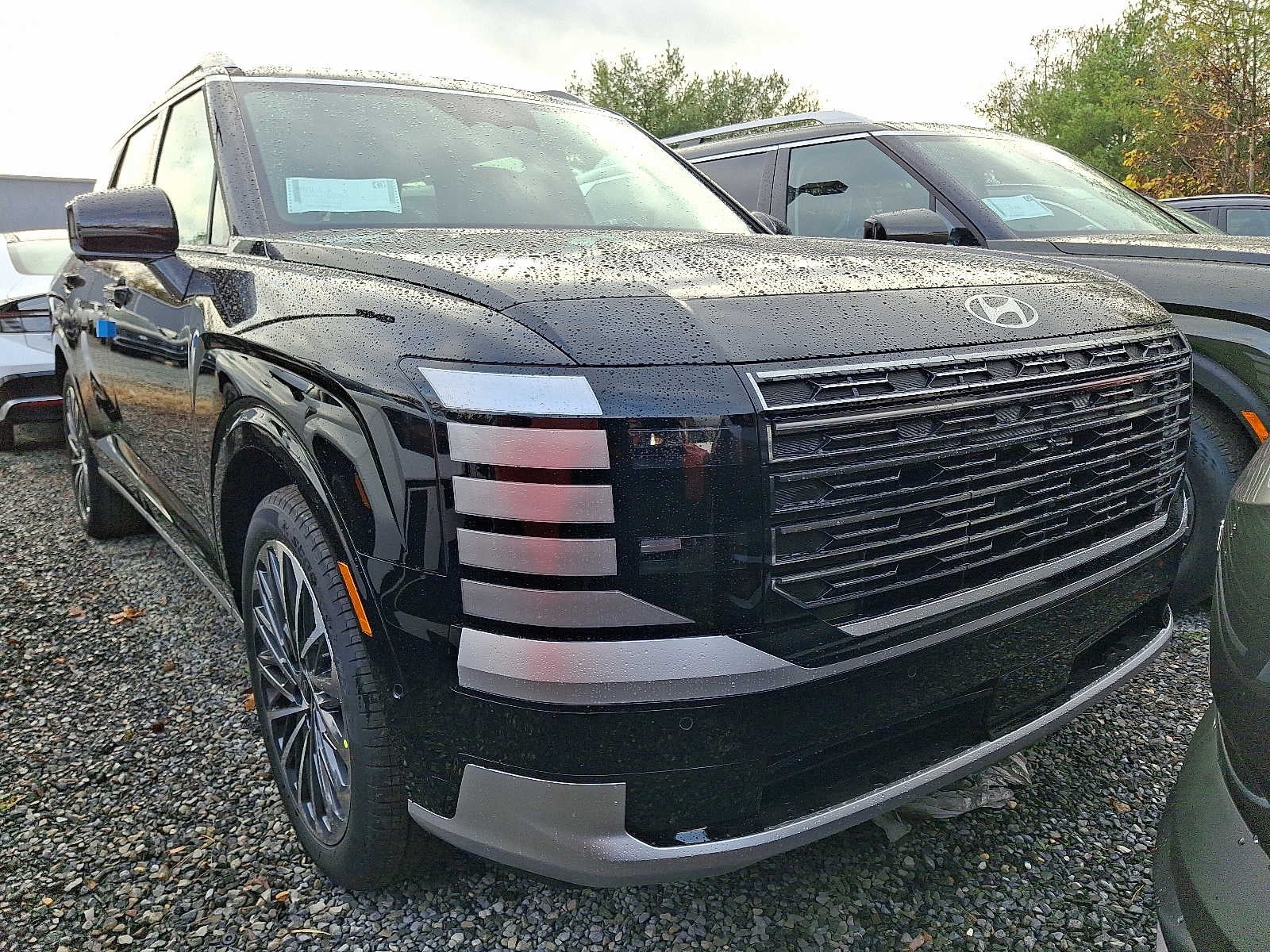 2026 Hyundai Palisade Hybrid Calligraphy