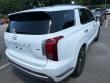2024 Hyundai Palisade Calligraphy SUV