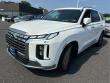 2024 Hyundai Palisade Calligraphy SUV
