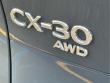 2022 Mazda Mazda CX-30 2.5 S Carbon Edition SUV
