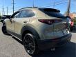 2025 Mazda CX-30 2.5 Carbon Turbo SUV