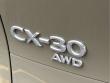 2025 Mazda CX-30 2.5 Carbon Turbo SUV