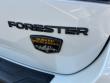 2023 Subaru Forester Wilderness SUV