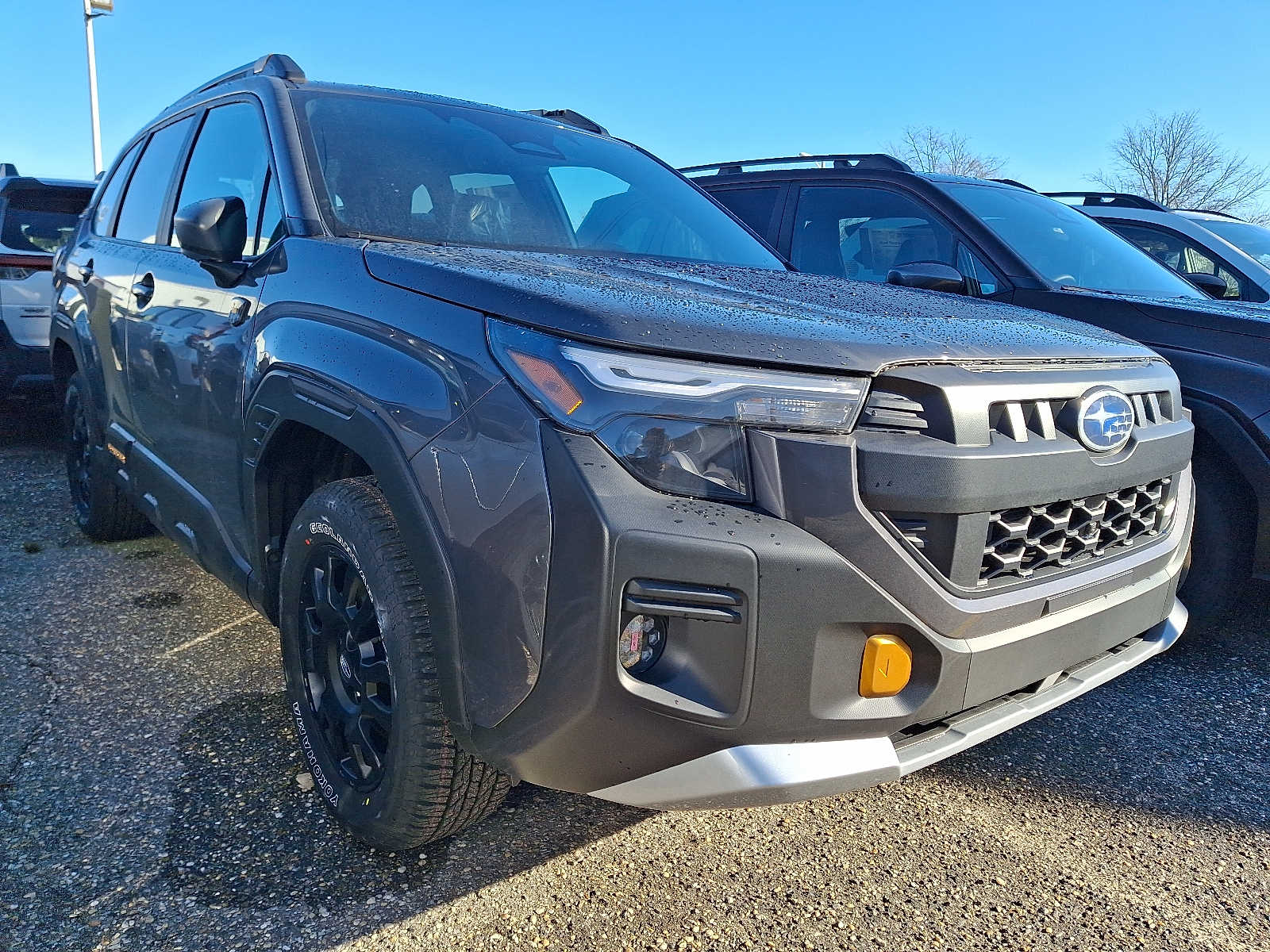 2026 Subaru Forester Wilderness's photo