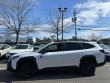 2025 Subaru Outback Wilderness SUV