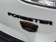 2023 Subaru Forester Wilderness SUV