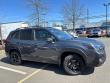2023 Subaru Forester Wilderness SUV