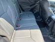 2023 Subaru Forester Wilderness SUV