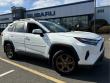 2023 Toyota RAV4 Hybrid Woodland Edition SUV