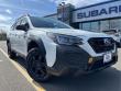 2025 Subaru Outback Wilderness SUV