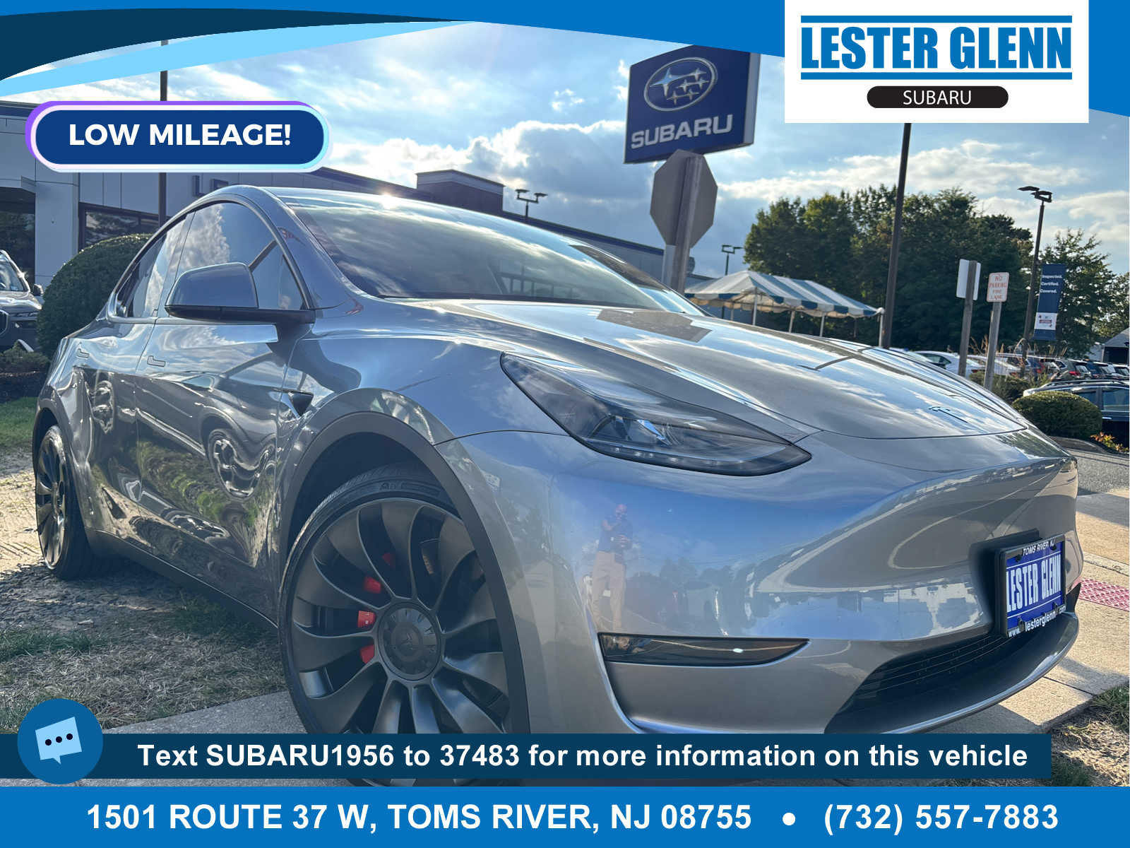 Used 2024 Tesla Model Y Performance with VIN 7SAYGDEF8RA295267 for sale in Toms River, NJ