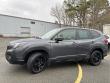 2023 Subaru Forester Wilderness SUV