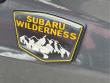 2024 Subaru Forester Wilderness SUV