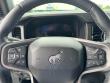 2025 Ford Bronco Badlands SUV