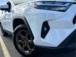2023 Toyota RAV4 Hybrid Woodland Edition SUV