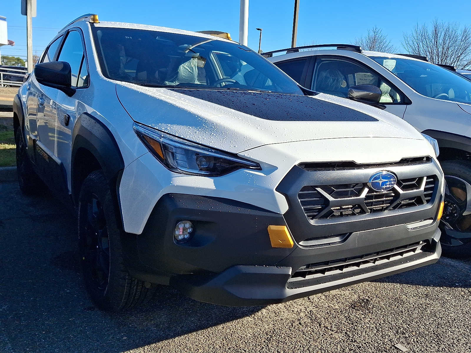 2026 Subaru Crosstrek Wilderness's photo