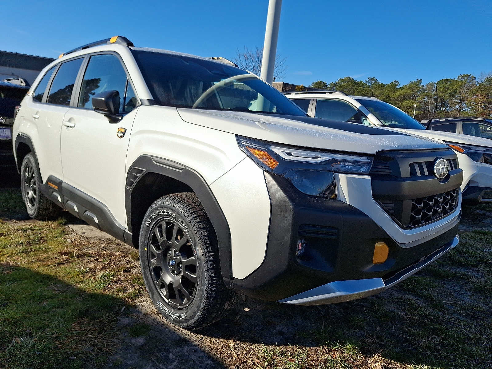 2026 Subaru Forester Wilderness's photo