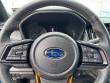 2025 Subaru Outback Wilderness SUV