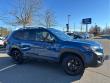2025 Subaru Forester Wilderness SUV
