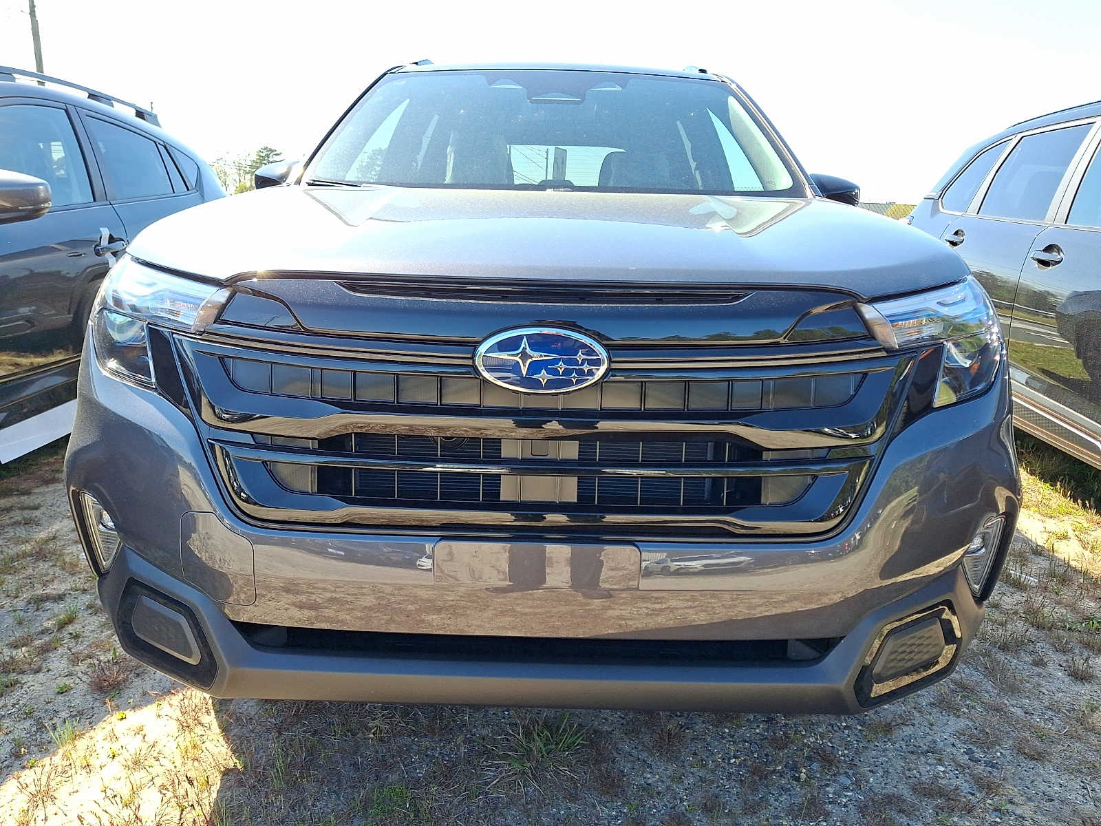 SUBARU FORESTER非売品 New 2026 Subaru Forester Inventory For Sale In Toms River, NJ
