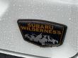 2025 Subaru Crosstrek Wilderness SUV