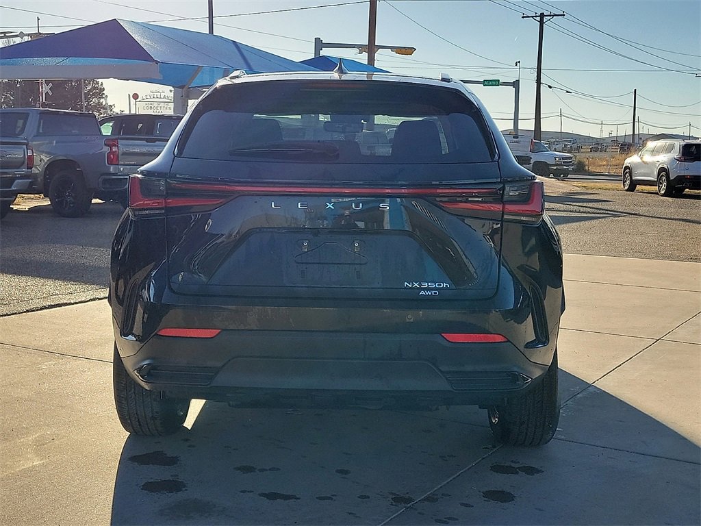 2024 Lexus NX 350h Luxury photo 3