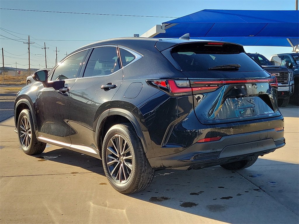 2024 Lexus NX 350h Luxury photo 2