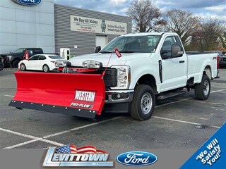 2025 Ford F-250 8FT Western Plow XL XL 4WD Reg Cab 8 Box for sale on Long Island, NY