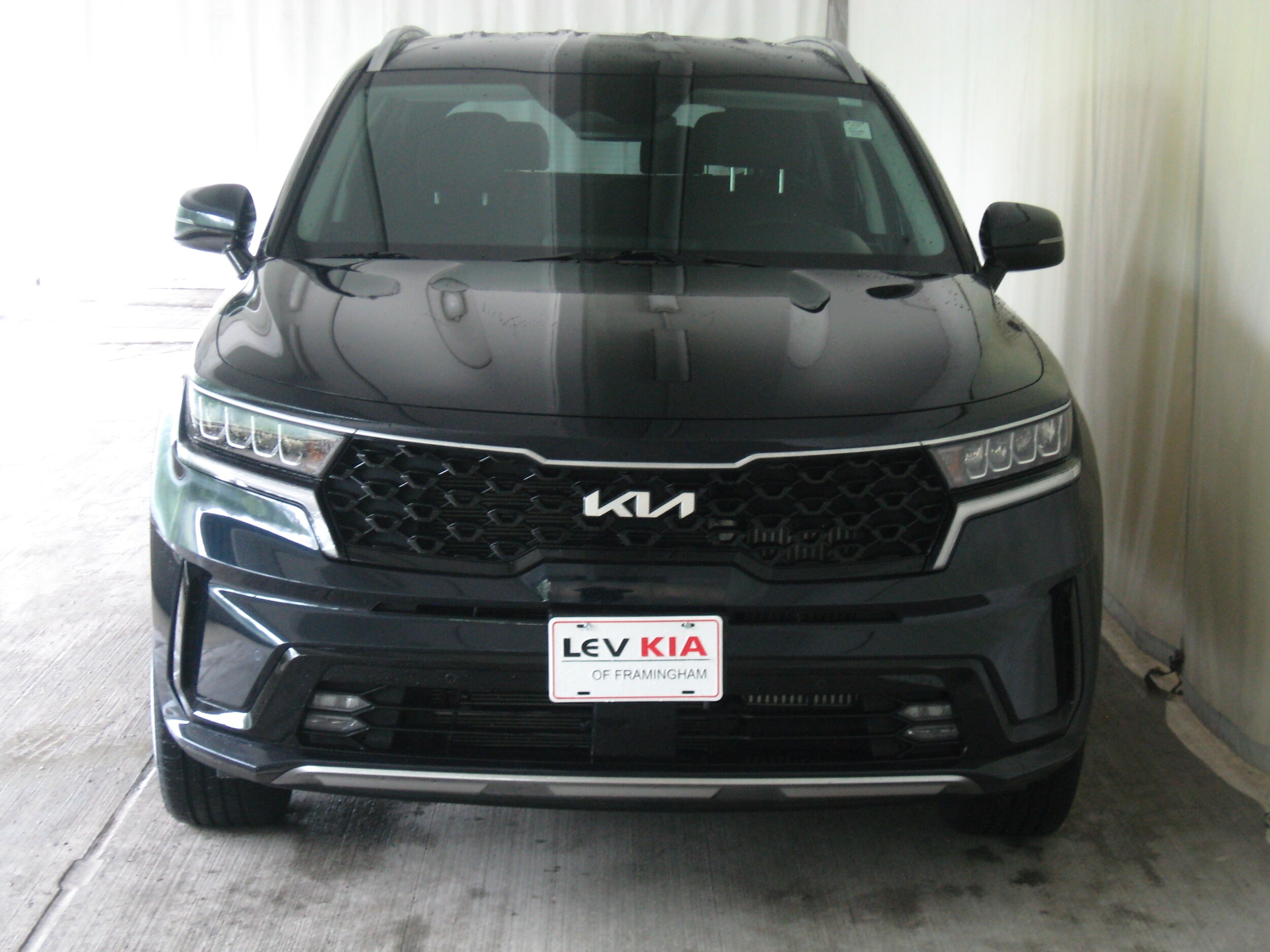 2024 Kia Sorento EX Hybrid photo 2