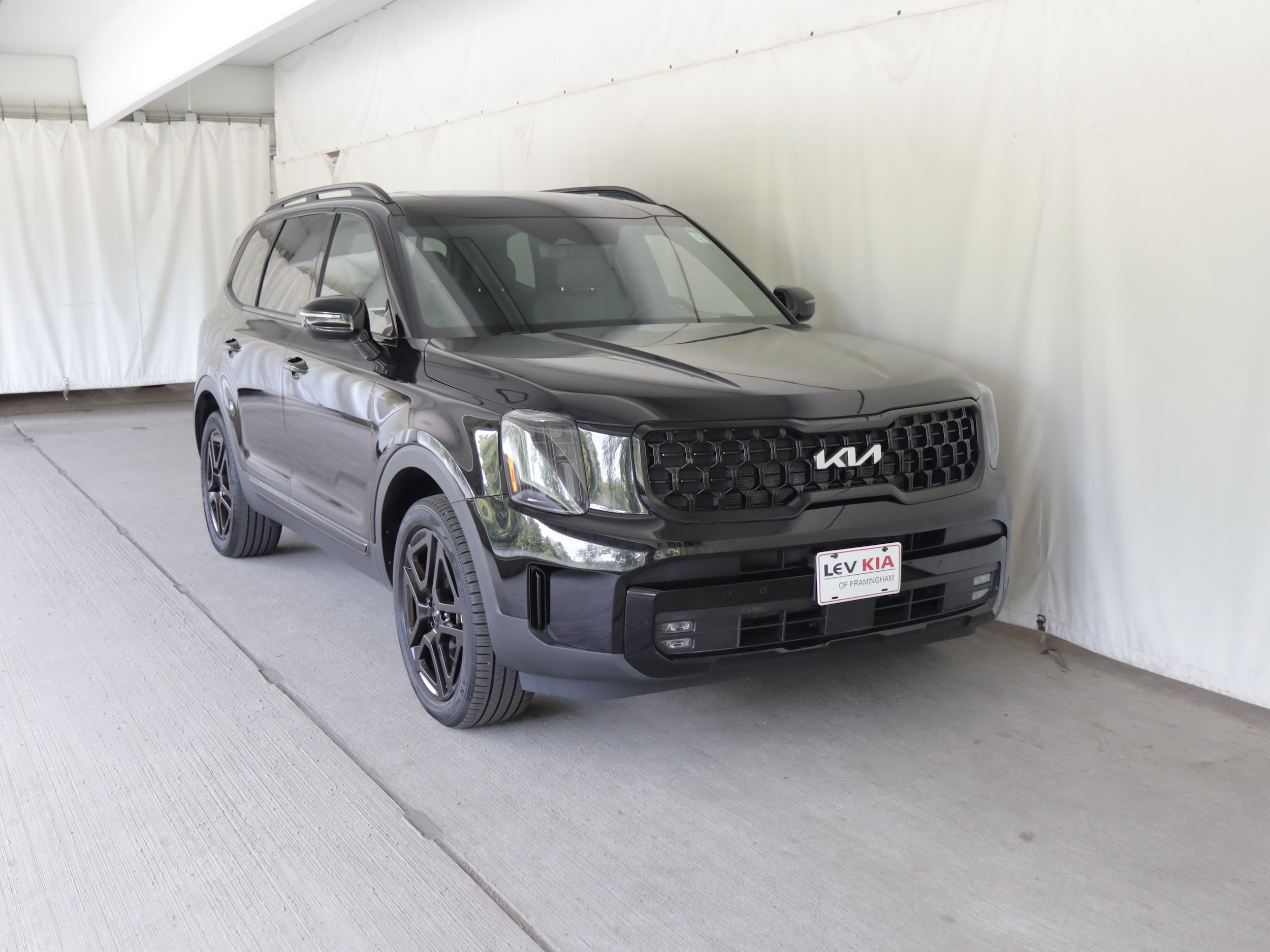 2024 Kia Telluride