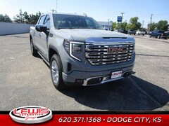 2025 GMC Sierra 1500 Denali Truck
