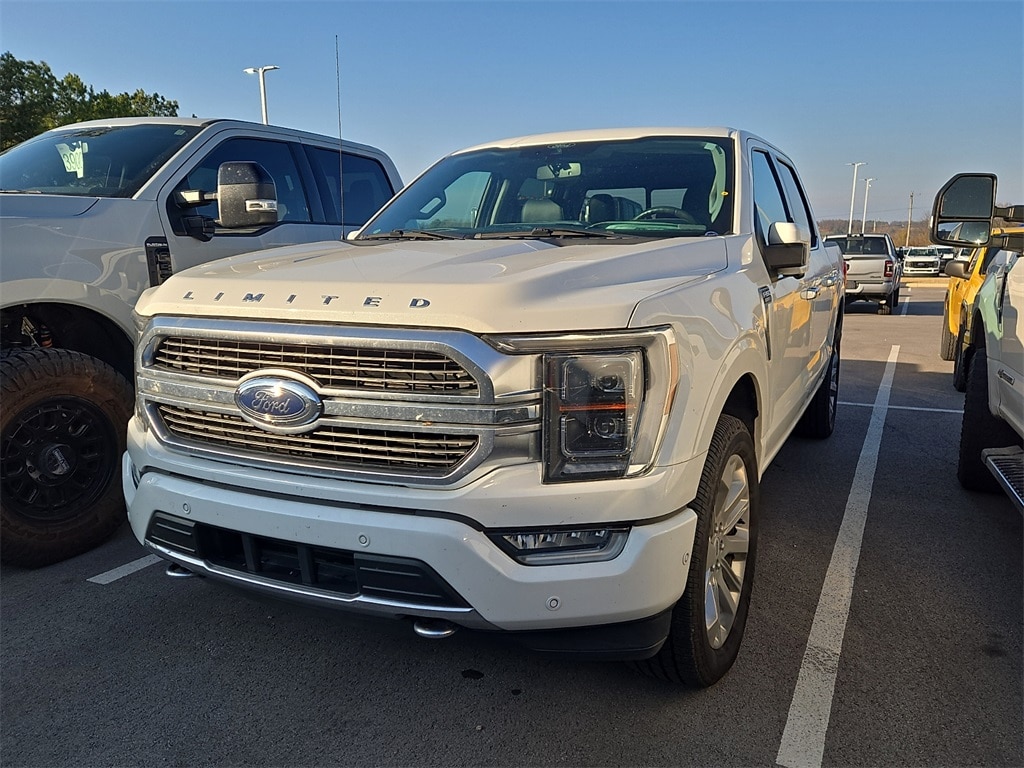 2021 Ford F-150 Limited's photo