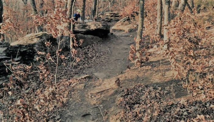 700 × 400