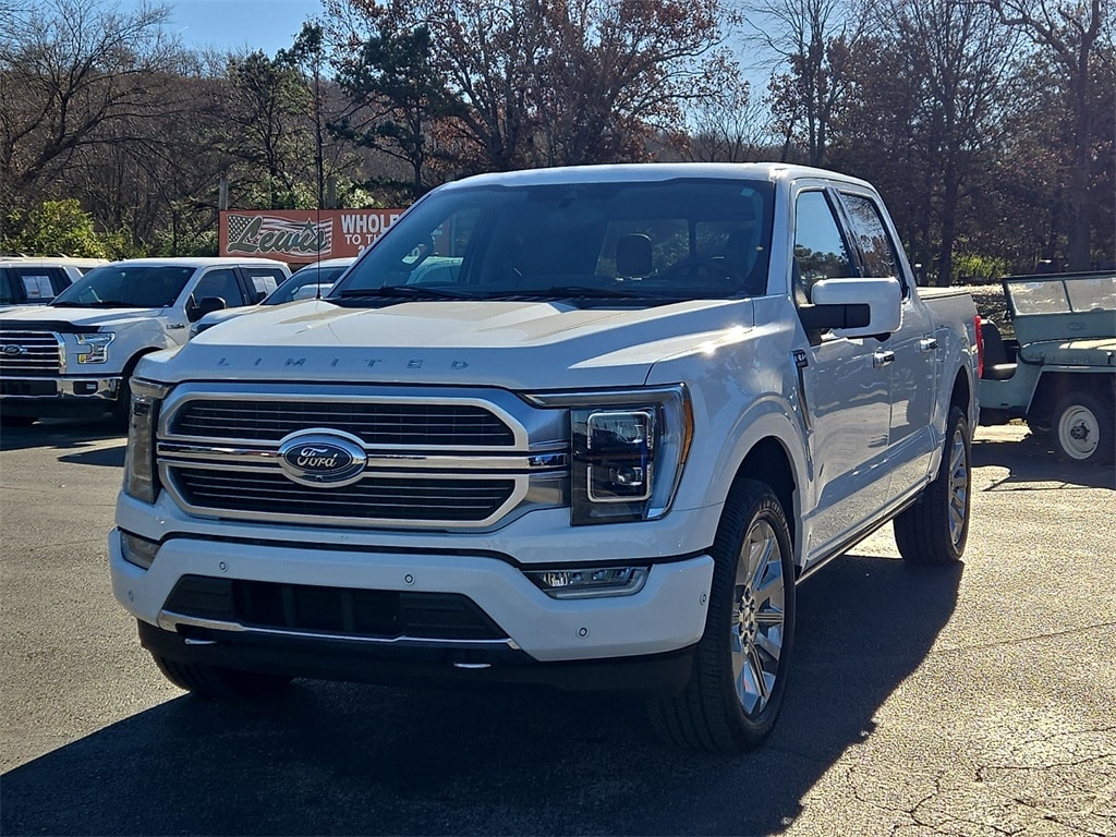 2021 Ford F-150 Limited's photo