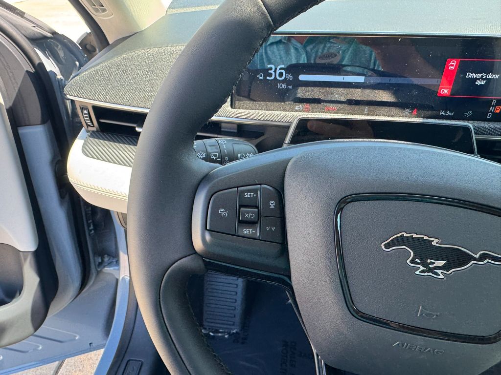 2025 Ford Mustang Mach-E Premium - Photo 17