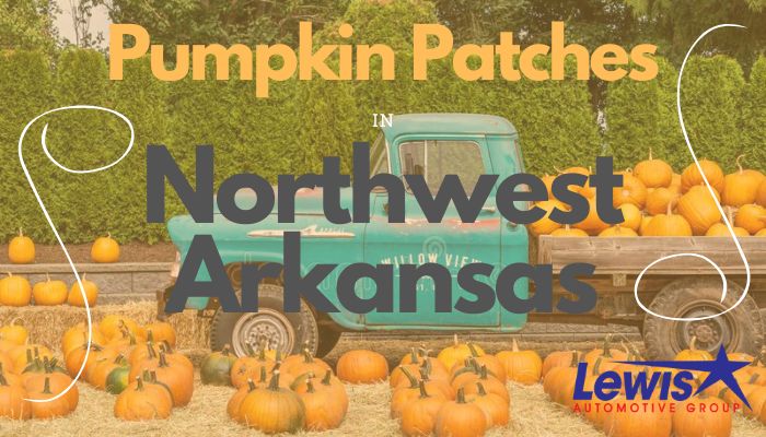 NWA Local Pumpkin Patches.jpg